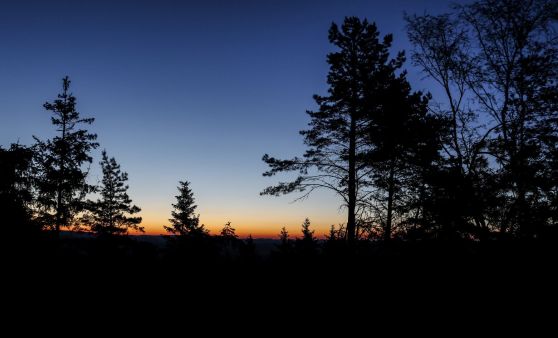Sonnenaufgang in Königswiesen/Harlingsedt