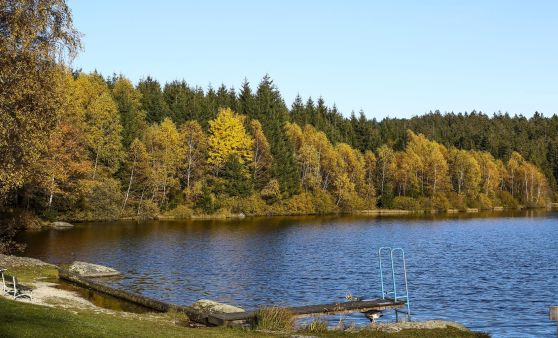 Schlesingerteich 2017 mit traumhafter Herbst-Abend-Stimmung!