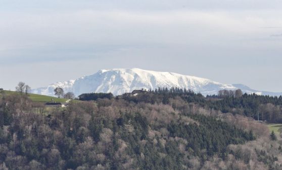 Gobelwarte in Grein, Abendstimmung in Grein, Blick von Grein/Panholz