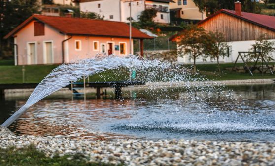 Freizeitteich St. Georgen am Walde