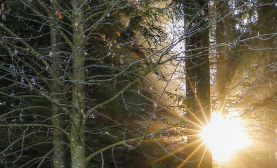 Herbstbilder aus St. Georgen am Walde