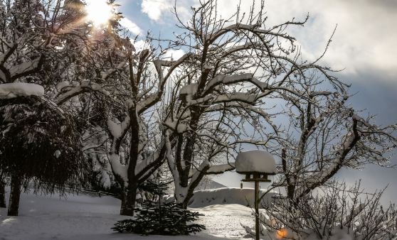 Winterbilder 2018/19 - wenigstens ein paar Minuten Sonne...