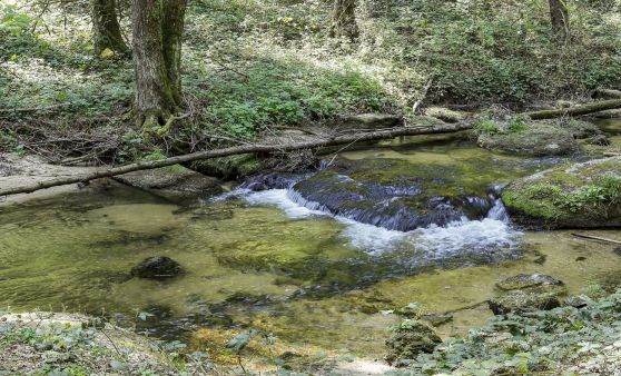 Stillensteinklamm - eine wunderbare Wanderung!