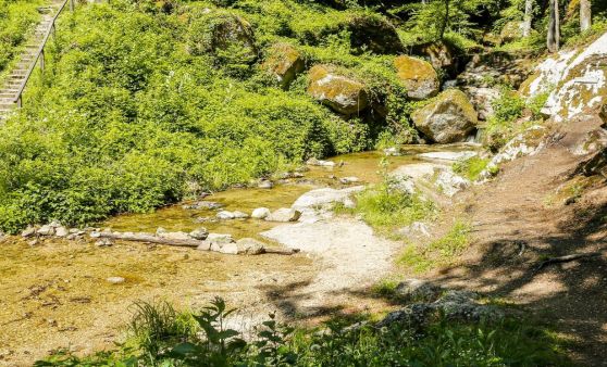Wolfsschlucht, Bad Kreuzen - ein herrlicher Nachmittag!