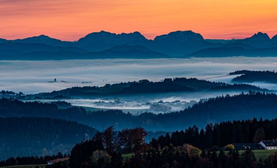 Herrlicher Blick auf die Alpen!