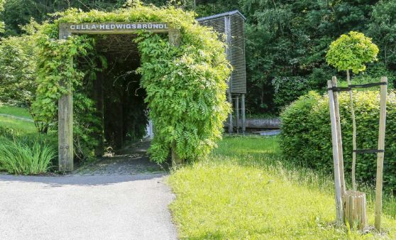 Hedwigsbründl in Bad Zell, Lebensregion Mühlviertler Alm