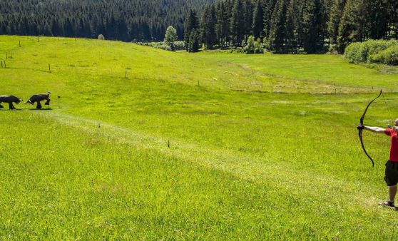 Stoneface Archery - Bogensport Haneder in Unterweißenbach