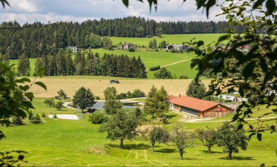 Die nächste Badesaison kommt bestimmt!