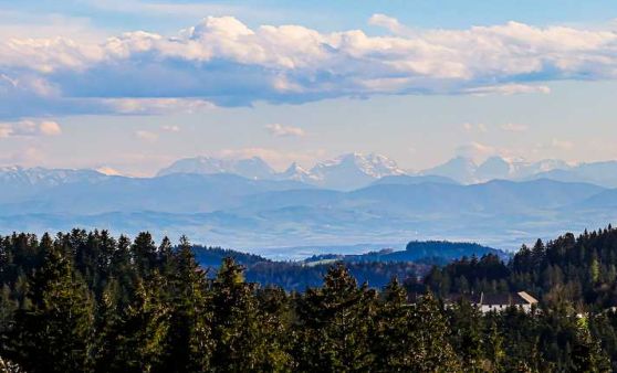 Großes und Kleines vom Schanzberg, St. Georgen am Walde, Lebensregion Mühlviertler Alm