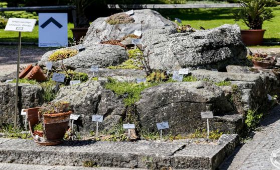 Botanischer Garten Linz - immer einen Besuch wert!