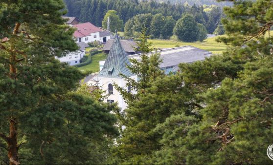 Susi-Wallner-Warte in St. Leonhard bei Freistadt
