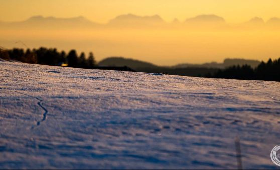 Herrlicher Tag am Schanzberg in St. Georgen am Walde