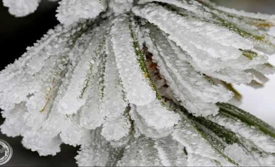 ST.GEORGEN AM WALDE - Der Winter ist zurück! Herrliche Eisgebilde!