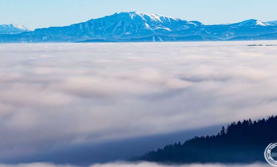 Traumhafter Blick über das Nebelmeer auf die Alpen vom Burgstall in St. Georgen am Walde!