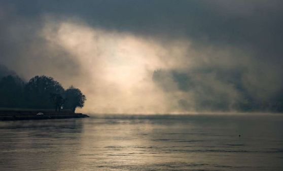 GREIN - Nebelstimmung an der Donau