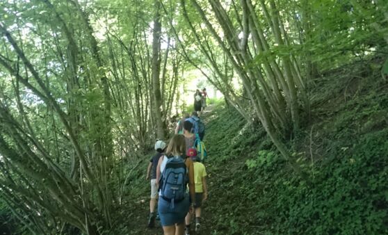 Jede Wanderung ist wie ein Trunk aus der Quelle des Lebens…