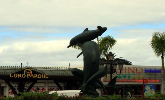 Tips-Leser-Reise Teneriffa 21. bis 28..Jänner 2017