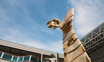 Bild 13