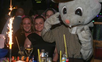 Bild 15