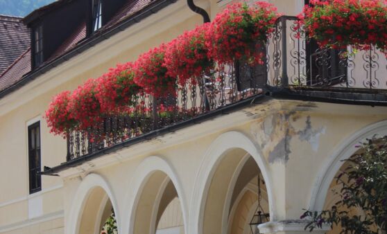 Eröffnung des Chopin-Festivals