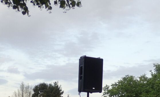 Über Mörder und Zeitreisen bei Literatur & Wiese