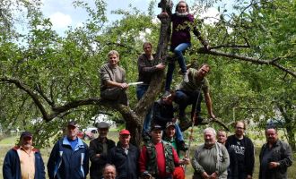 Sommerfreuden im Obstgarten