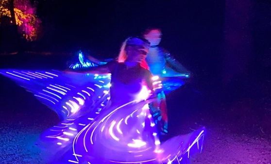 Die Blockheide verwandelte sich in einen Ort voll Magie und Wunder