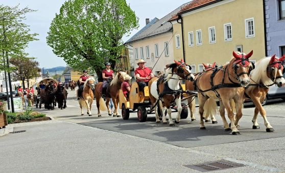 Pferdeumzug samt Pferdesegnung in Oberneukirchen