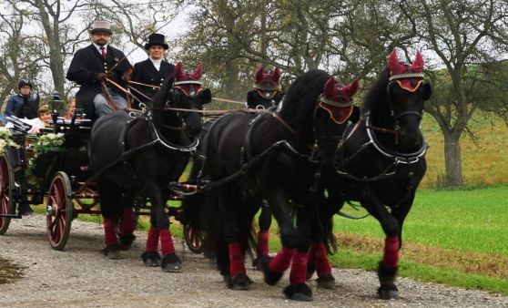 Kranzlstechen beim Leonhardiritt 2019 in Pucking
