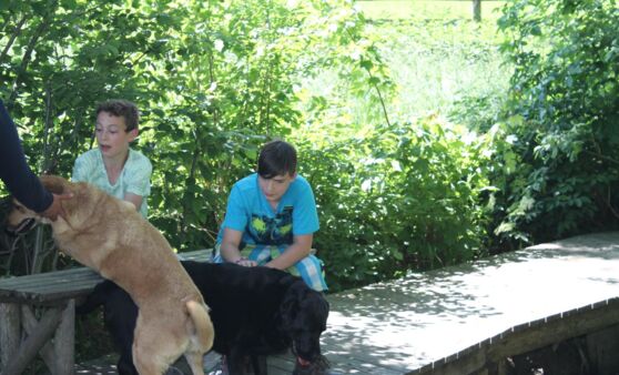 Fernsehdreh in der Pfotenhilfe Lochen