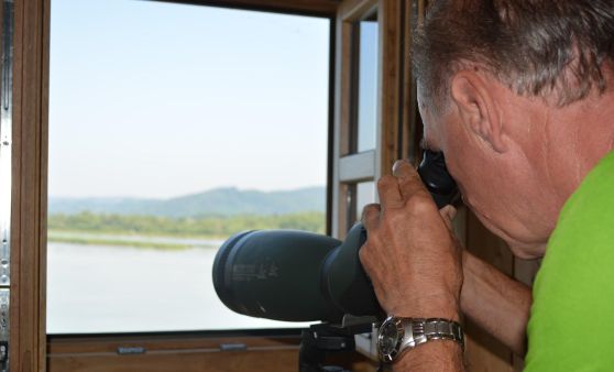 Neue Vogelbeobachtungsstelle in Frauenstein
