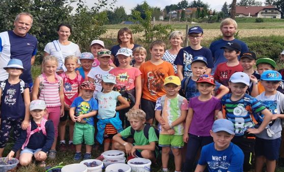 Alles Zwetschke Ferienaktion der SPÖ Hartkirchen