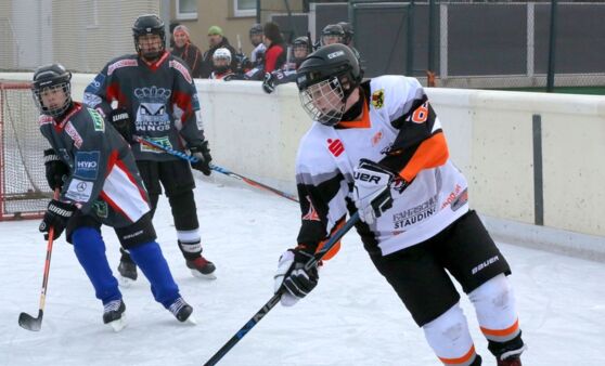 Ice Tigers jun. gegen Voralpenkings Vöcklabruck
