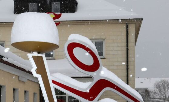 7. Nationalpark-Kalkalpen Silvesterlauf