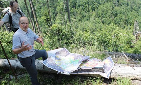 Am Weg zur Waldwildnis