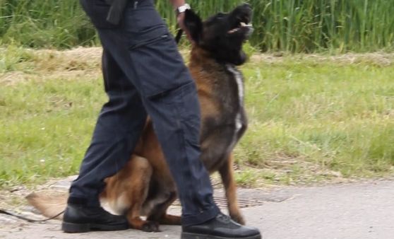 Feierliche Eröffnung der Polizeiinspektion Steyrtal