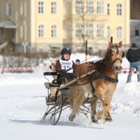 2. Pyhrn-Priel Pferde-Trophy in Roßleithen