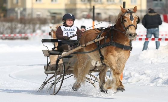 2. Pyhrn-Priel Pferde-Trophy in Roßleithen