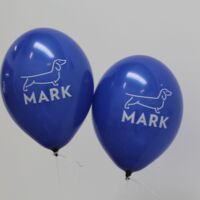 Eröffnungsfeier Erweiterungsprojekt MARK