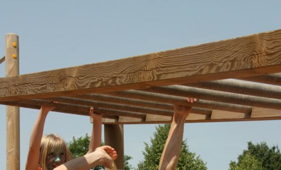 Goldi war Stargast bei Hargelsberger 3-fach-Feier