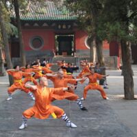 Shaolin Kung Fu Einführungsworkshop
