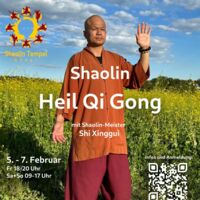Shaolin Heil Qi Gong mit Shaolinmeister Shi Xinggui