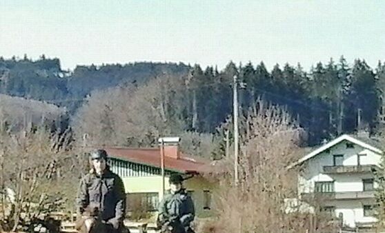 Scharnstein : Die neue Reitsaison macht sich bemerkbar.