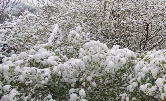 Scharnstein: April-Winter im Almtal.