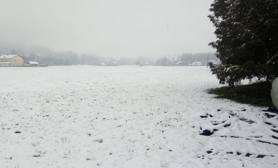 Kurzer Wintereinbruch im Almtal