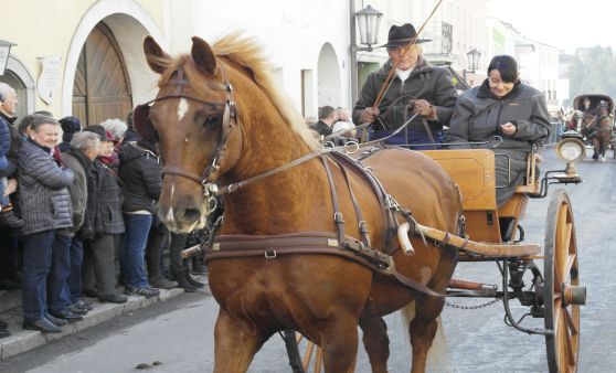 Viele Besucher beim 26. Josefimarkt in Königswiesen
