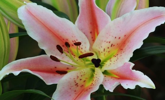 Rundgang im Garten und auf der Terrasse