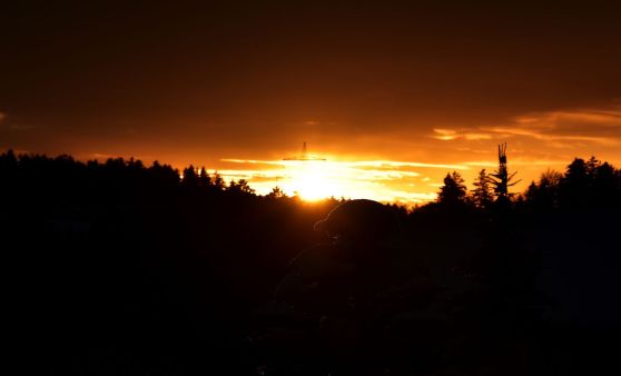 Sonnenuntergang im Winter