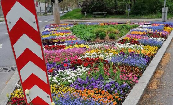 Unterwegs im Frühling