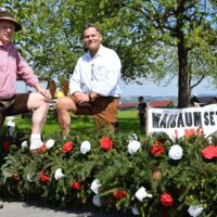 Traditionelles Maibaumsetzen des Sparvereins Einigkeit